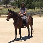 Profile Picture of Andrew Peltz (@peltzandrew) on Instagram