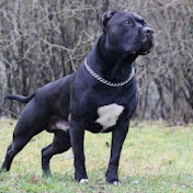 Profile Picture of Flaky X Xampphoraty Andreas Smith (@andyboooi) on Youtube