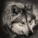 Profile Picture of Oliver Samuel (@oliver.samuel.54772) on Facebook
