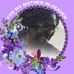 Profile Picture of Nancy Dorseytull (@nancy.dorseytull) on Facebook