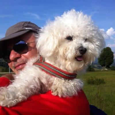 Profile Picture of Carlo Morelli (@M3satCarlo) on Twitter