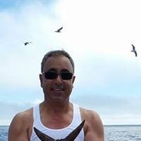 Profile Picture of Sassan Farzanfar (@sassanfarzanfar) on Pinterest