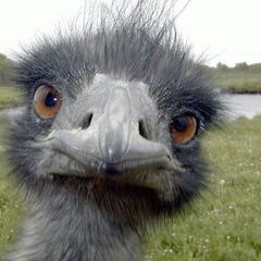 Profile Picture of walterkeyser (@walterkeyser) on Tiktok
