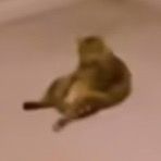 Profile Picture of stevenwei4 (@stevenwei4) on Tiktok