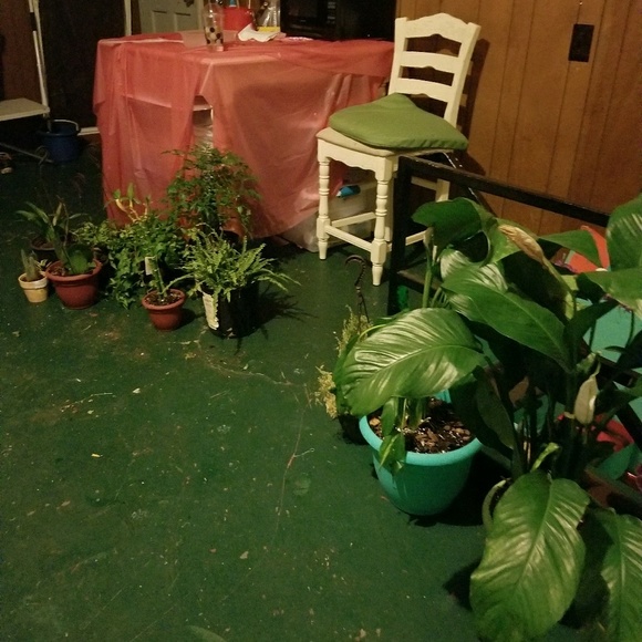 Profile Picture of Cindy Vann (@cvann3) on Poshmark