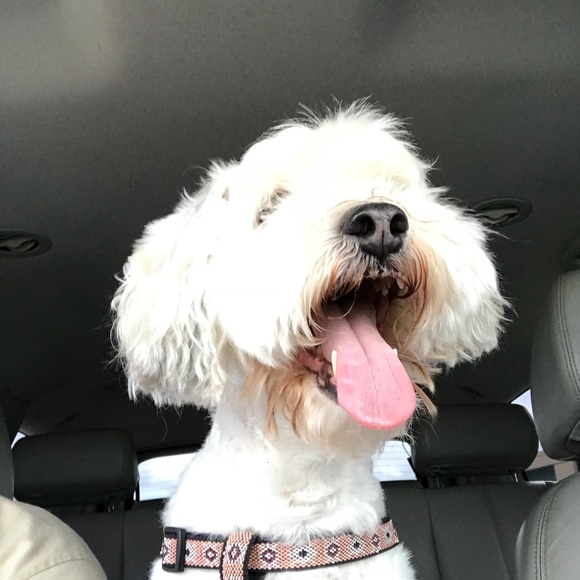 Profile Picture of Kevin Burden (@artbykb) on Poshmark