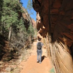 Profile Picture of Chen Zheng (@ZhengCL86) on Twitter