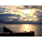 Profile Picture of Timothy White (@fallenluvlawn) on Instagram