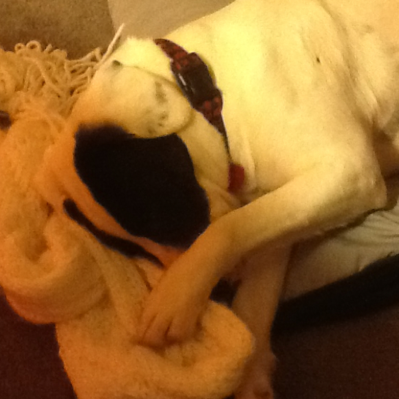 Nancy Baranko - Poshmark Profile Picture of Nancy Baranko (@nancybaranko) on Poshmark