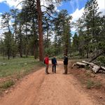 Profile Picture of Matthew (@matthew.gaetano) on Instagram