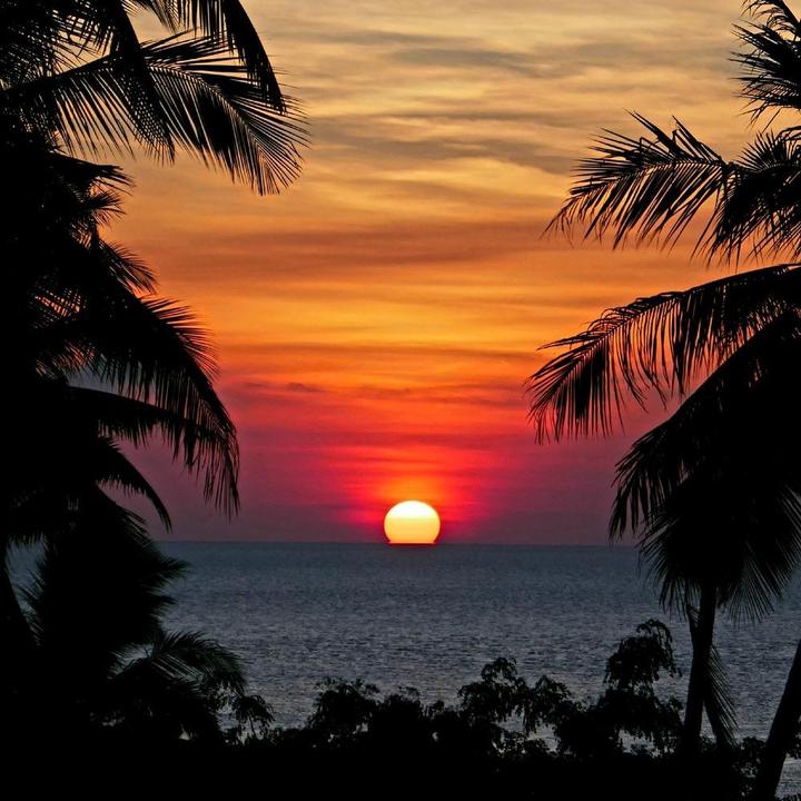 Profile Picture of Andrea💜 (@alkirkwood) on Tiktok