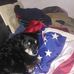 Profile Picture of Casey Bainbridge (@casey.bainbridge.52) on Facebook