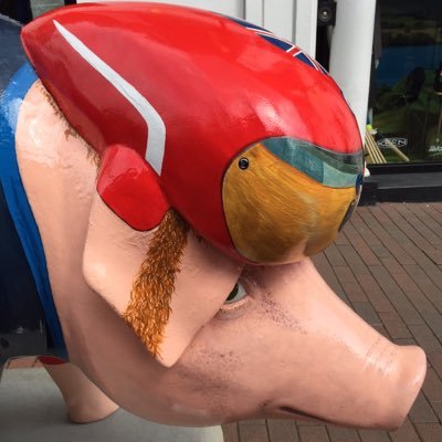 Profile Picture of Sir Bradley Piggins (@Bradley_Piggin5) on Twitter
