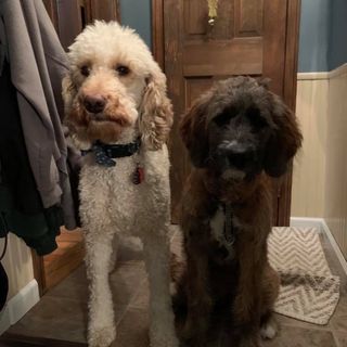 Profile Picture of Guy Ziegler (@guy.ziegler.3) on Facebook