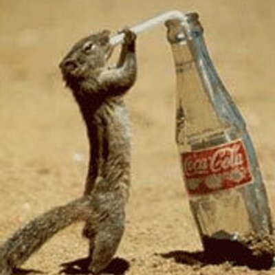 Ivan Golub - Twitter Profile Picture of Ivan Golub (@GoluberIvan) on Twitter