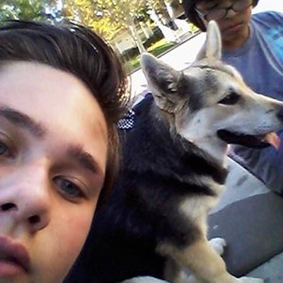 Profile Picture of Daniel Lohr (@DanielLohr6102) on Twitter