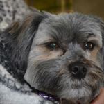 Profile Picture of Nancy Buenrostro (@buenrostro.nancy) on Instagram