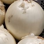 Profile Picture of Ethan McCune (@onion_manz) on Instagram