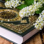 Profile Picture of Haneen Rashed (@haneen.rashed.140895) on Facebook