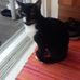 Profile Picture of Gerard Nollet (@gerard.nollet.75) on Facebook