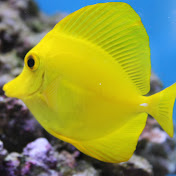 Profile Picture of Eric Fillion (@willso7) on Youtube