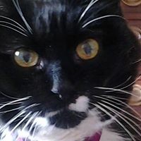 Profile Picture of Randi Rarick (@randi-rarick) on Quora