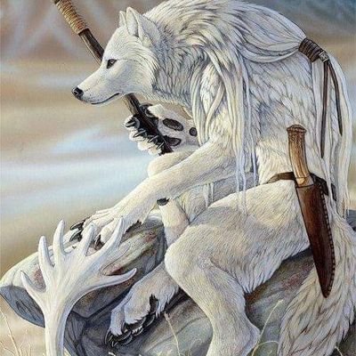 Profile Picture of William Kirk Stevens (@lonewolf6177) on Twitter