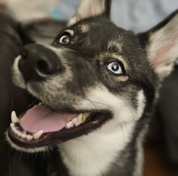 Profile Picture of Kim Daubon (@kimdaubon) on Poshmark