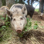 Matt McCandless - Youtube Profile Picture of Matt McCandless (@Ice.Man.Adventures) on Youtube