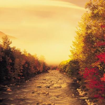 Profile Picture of Monica Sampere (@@monicasampere1) on Twitter