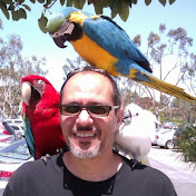 Profile Picture of Andre Andraos (@AndreAndraos) on Youtube