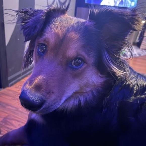 Profile Picture of Ashley Shuffstall (@ashkel0102) on Poshmark