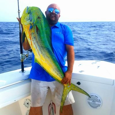 Profile Picture of KingRalph (@NataleRalph) on Twitter