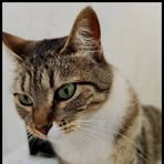 Profile Picture of Daren Adán (@Daren-Adán) on Facebook