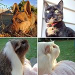 Profile Picture of Keith, Levi, Rusty, Bella (@whites.wildlife) on Instagram