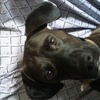 Profile Picture of Jeffreycornstock (@@jeffreycornstock) on Tiktok