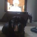 Profile Picture of David Catlow (@david.catlow.16) on Instagram