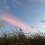 Profile Picture of Tamara Kowalski (@tamara.kowalski) on Instagram