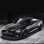 Profile Picture of Brandon Terra (@brandon.terra.5) on Instagram