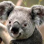 Profile Picture of David Macklin (@macklin6788) on Instagram