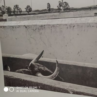 Profile Picture of Daniel Barba Gurillo (@DBGurillo87) on Twitter