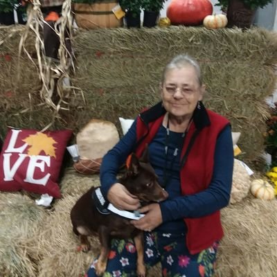 Profile Photo of Susan Schaffer (@SusanSchaffer13) on Twitter