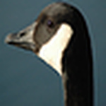 Profile Picture of Seth Dedmon (@sproutter) on Flickr