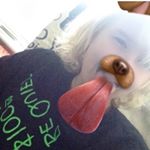 Profile Picture of Jesse Carolyn Hayes (@princess_jesse12) on Instagram