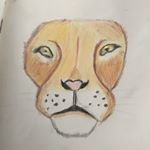 Profile Picture of Harry Monks (@harry.monks) on Instagram