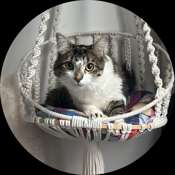 Profile Picture of Ron Alex (@ron_alex) on Poshmark