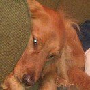 Profile Picture of Debbie Loper Bohner (@debbiec916) on Instagram