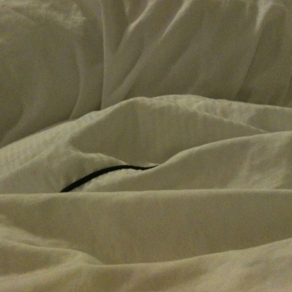 Profile Picture of Lisa Scherer (@liz19861) on Poshmark