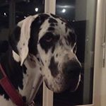 Profile Picture of Aidan Eby (@aidan_robert_eby) on Instagram