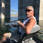 Profile Picture of Steven Martin (@Steven-Martin) on Facebook